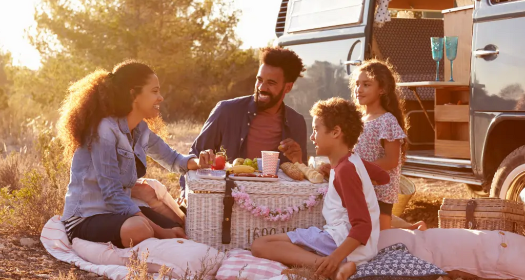 Van Life With Kids: Tips for Fantastic Family Van Travel (VanLifers)